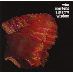 WIM MERTENS - A STARRY WISDOM