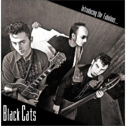 BLACK CATS - INTRODUCING...