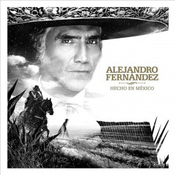 ALEJANDRO FERNÁNDEZ - HECHO...
