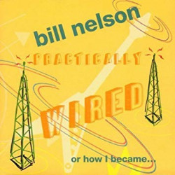 BILL NELSON - PRACTICALLY...