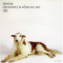 SIMIAN - CHEMISTRY IS WHAT...